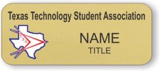 (image for) Texas Technology Student Association Standard Gold badge