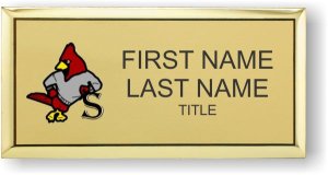 (image for) Steelville R-3 School District Executive Gold badge