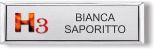(image for) TREM Small Executive Silver badge