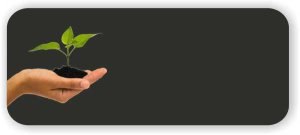 (image for) H.O.M.E. Education Academy Inc Chalkboard badge