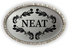 (image for) NEAT Oval Bling Silver badge