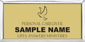 (image for) Life\'s Answers Ministry Executive Silver Other badge