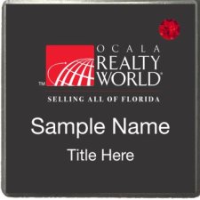 (image for) Ocala Realty World Executive Silver badge