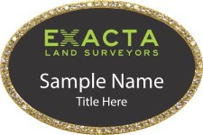 (image for) Exacta Land Surveyors Oval Bling Gold Other badge