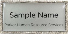 (image for) Parker Human Resource Services Bling Silver badge