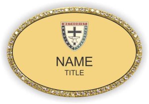 (image for) African Methodist Episcopal Church Oval Bling Gold badge