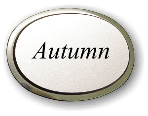 (image for) Autumn C. Shannon Executive Oval Silver Badge