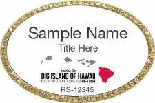 (image for) Keller Williams Big Island of Hawaii Oval Bling Gold Badge with White Insert