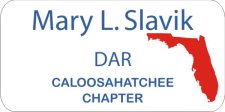 (image for) DAR Caloosahatchee White Bage