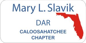 (image for) DAR Caloosahatchee White Bage