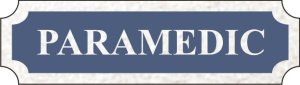 (image for) Paramedic Silver Bar Badge