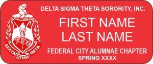 (image for) Delta Sigma Theta Sorority Standard Other badge
