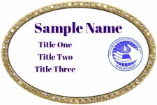 (image for) Founder Region Soroptimist Oval Bling Gold Other Badge