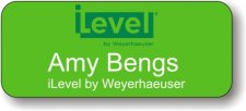 (image for) iLevel Green Badge