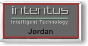 (image for) Intentus Executive Silver Badge