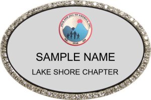 (image for) Jack and Jill of America, Inc. Oval Bling Silver badge