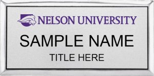 (image for) Nelson University Executive Silver Badge Logo B