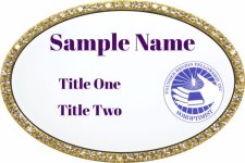(image for) Founder Region Soroptimist Oval Bling Gold Other Badge
