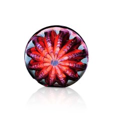 (image for) Atlantic Urchin Art Glass Award