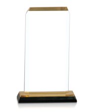 (image for) Clip Corner Impress Acrylic Award - Gold - Large