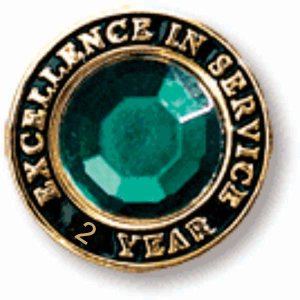 (image for) Excellence in Service Gem Lapel Pin - 2 Year