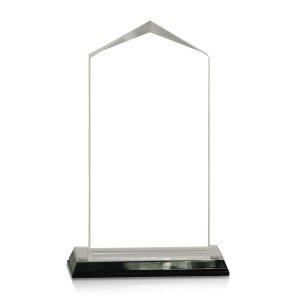 (image for) Silver Jewel Corner Acrylic Award - Large