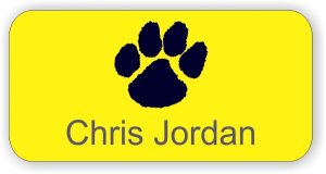 (image for) Manzanita Elementary School Yellow Badge