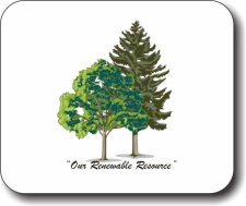 (image for) Michigan Association Of Timbermen Mousepad