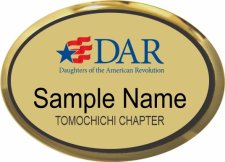 (image for) DAR Tomochichi Chapter Gold Oval Executive Badge