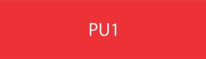 (image for) Red Plate - PU1 - 90010777
