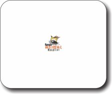 (image for) Ranson Animal Hospital Mousepad