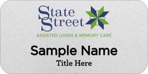 (image for) State Street Leadership Silver Badge
