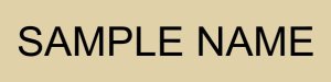 (image for) The Bridge Retirement & Assisted Living Almond Nameplate - 4\" x 1\"