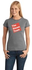 (image for) Steam Team, The Women's T-Shirt