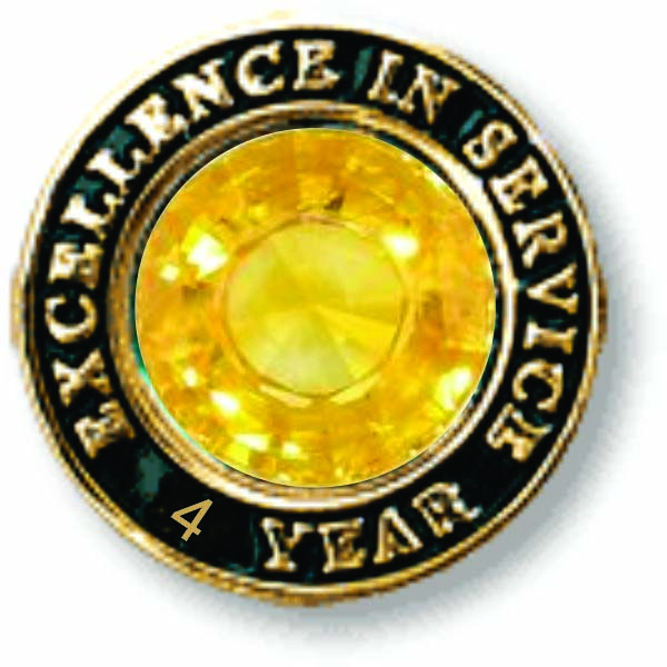 Bank of America Excellence in Service pin badge